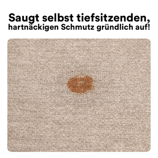 HOMVIA DeepClean Pro