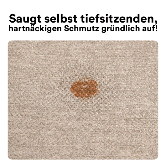 HOMVIA DeepClean Pro